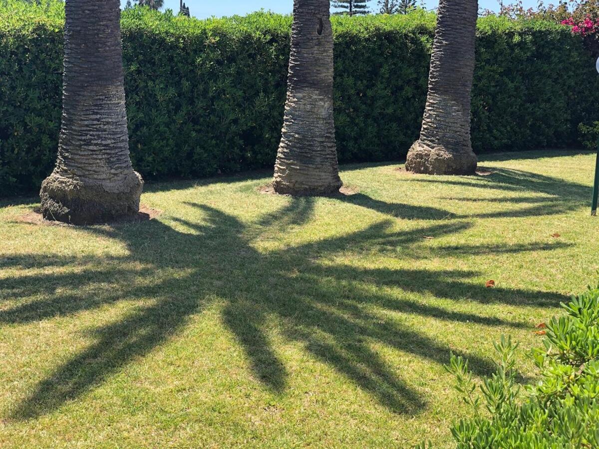 הוילה פונטנה ביאנקה Le Tre Palme מראה חיצוני תמונה